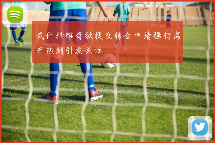 武什科维奇欲提交转会申请强行离开热刺引发关注